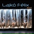Lajkó Félix