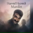 Hamid Hamidi