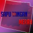 Gerry Mahesa