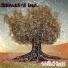 Samsara inc.