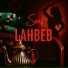 SEIF
