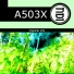A503X