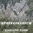 Springinarium