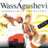 WassAgushevi Afrobalkan Orchestra