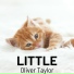 Oliver Taylor