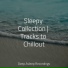 Ambient Forest, Sleep Songs 101, Spa