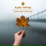 Audio Infinity