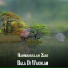 Rahmanullah Zair