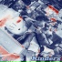 Kinderx
