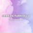 Serkan Türkoğlu
