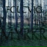 Folcvig
