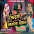 Dilip Goap