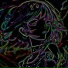 SXBER
