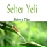 Mahmut Diker