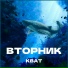 Кват
