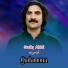 Sadiq Afridi
