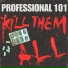 PROFESSIONAL 101