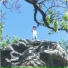 Canfly4real