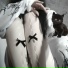 qwess