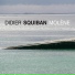 Didier Squiban