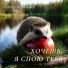 Е. Сокольская