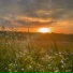 sunfade
