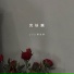 pro, 杨洁茜