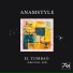 AnAmStyle