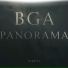 BGA