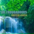 The Troubadours