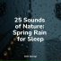Spa Zen, Lluvia, Binaural Creations