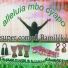 Laurentine Nga feat. Chorale Bamileke
