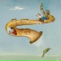 Flughand, steichi