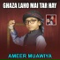 Ameer Muawiya