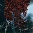 Райзо