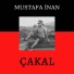 Mustafa İnan