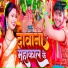 Ravi Rock