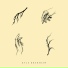 Kyle Bradshaw