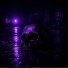 NIGHT369