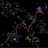 PANDEMIA