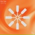 Tim Hox