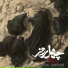 Mohsen Chavoshi