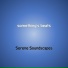 Serene Soundscapes