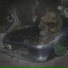 Nissanmane