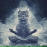 Krochy, Meditation Kitten