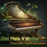TRAN SY TAM Acoustic