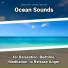 Sea Waves Sounds, Ocean Sounds, Nature Sounds