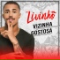 Mc Livinho