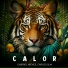 Gabriel Nieves, Carlos Slm