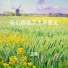 芷薇